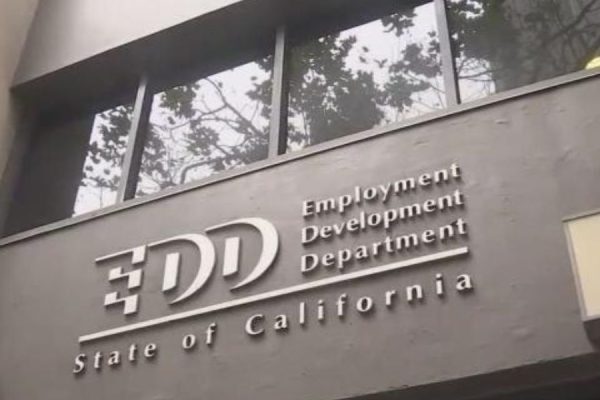 California Sees Rare Job Loss as Unemployment Hits 5.4%, Diverging from National Trends