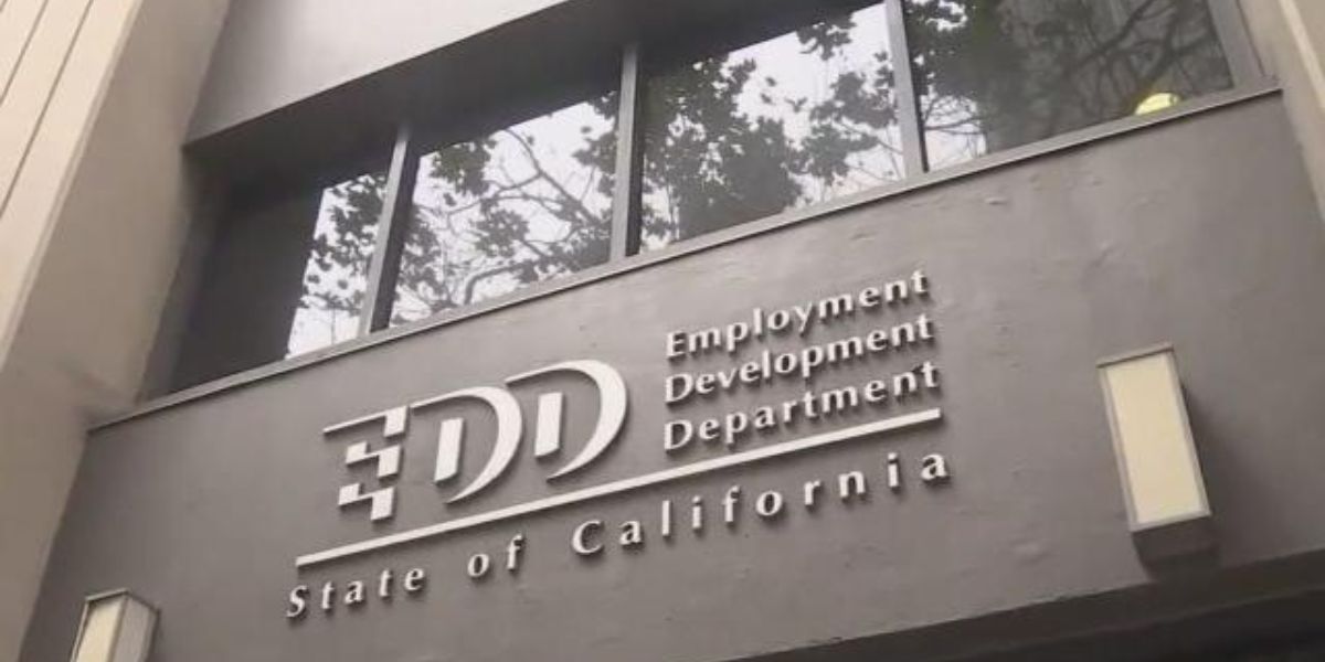 California Sees Rare Job Loss as Unemployment Hits 5.4%, Diverging from National Trends