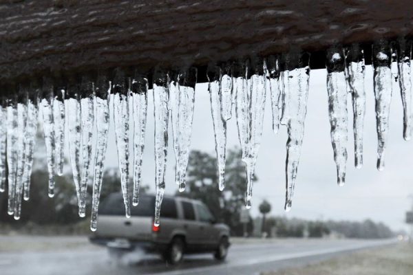 Florida Braces for Cold Front with Freezing Temperatures and a Hard Freeze Risk