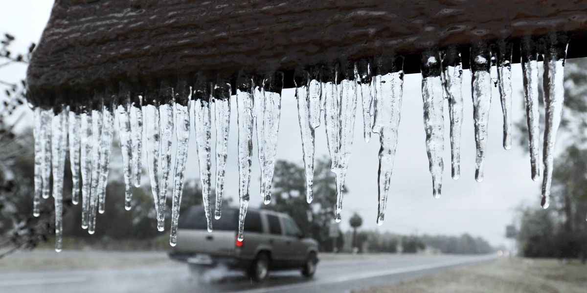 Florida Braces for Cold Front with Freezing Temperatures and a Hard Freeze Risk