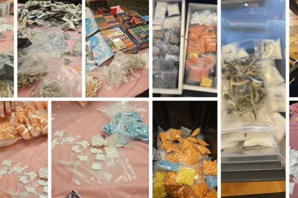 Major Drug Trafficking Ring Cracked in New Orleans Man Arrested with Stash of Illegal Substances