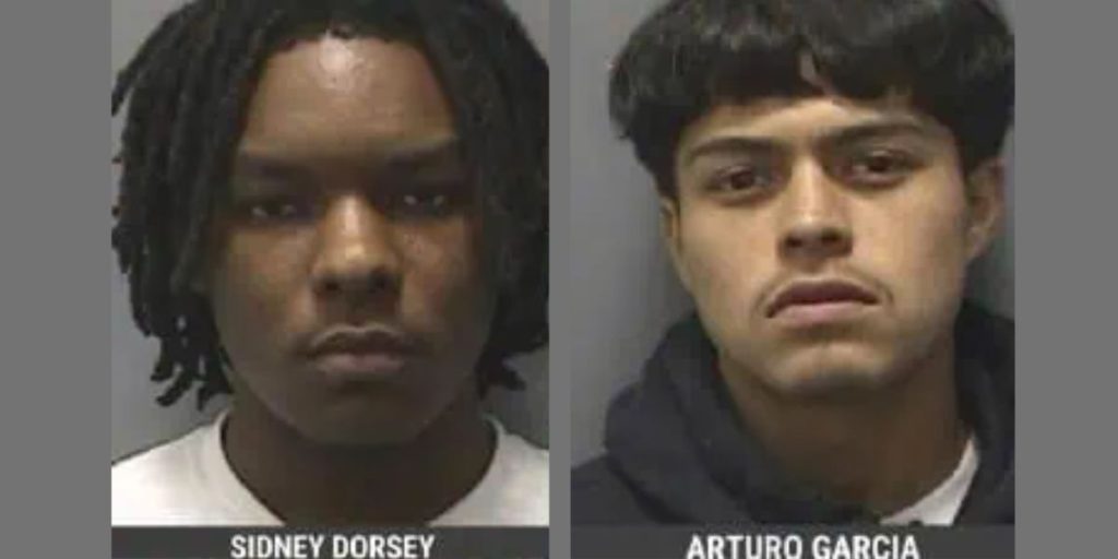 Traffic Stop Leads to Arrest of Two Armed Teens in Hillsborough County; Weapons Also Busted (1)