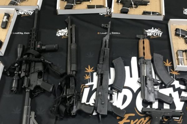 Authorities Confiscate 300+ Pounds of Marijuana and Dozens of Firearms in Jacksonville Raid (1)