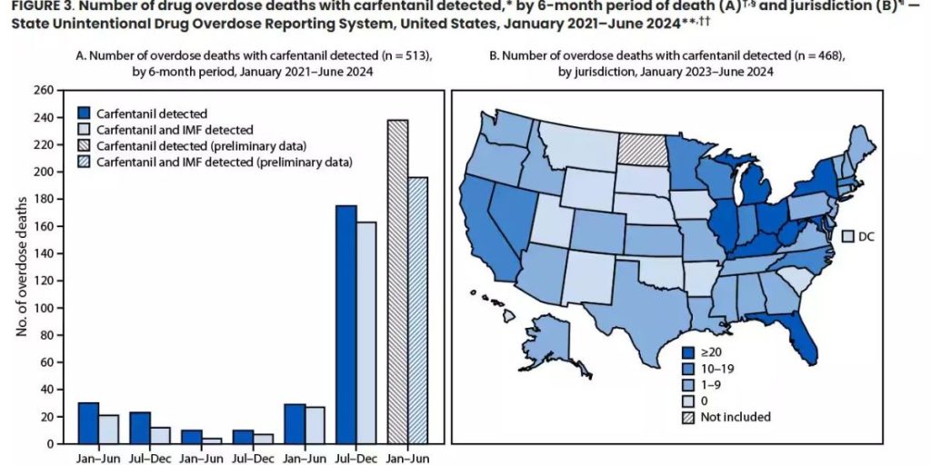 CDC Warns of Carfentanil Surge in New Jersey Drug Supply 100 Times Potent Than Fentanyl and Claiming More Lives (1)