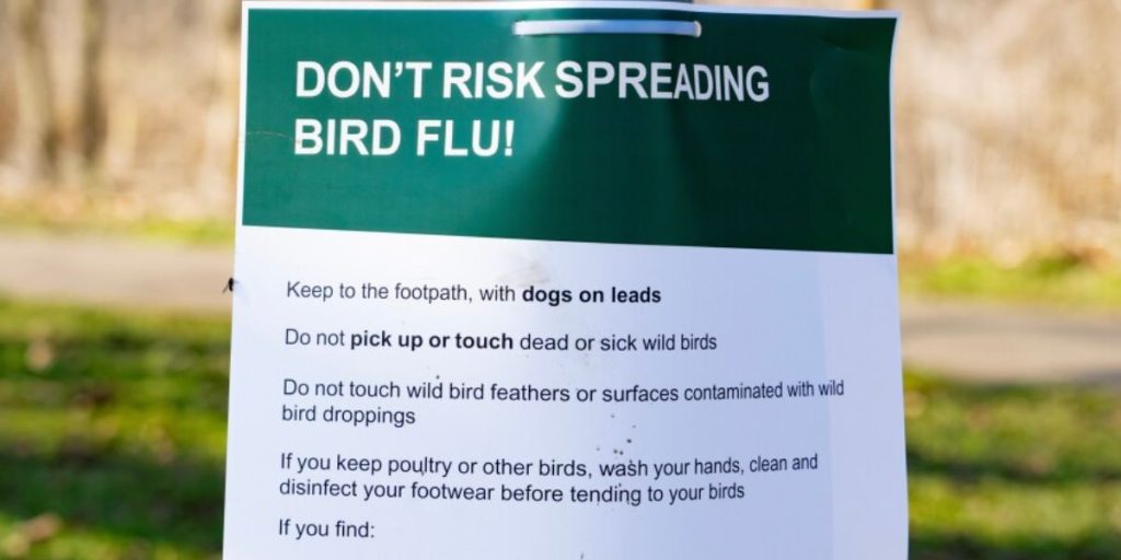 Health Officials on Alert after First Human case of Bird Flu Infection Confirmed in Pinal County; Experts Issue Caution Advisory (1)