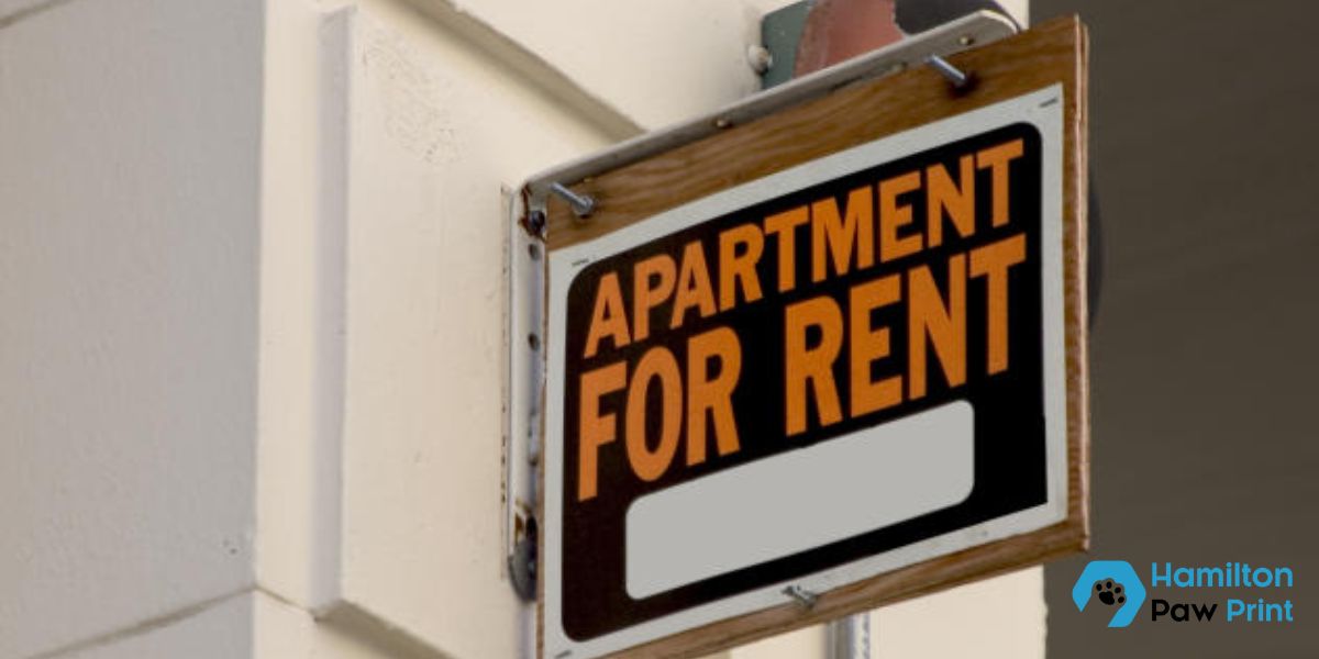 DOJ Sues South Carolina-Based Company and 5 Other Major Landlords Over Rent Pricing Practices