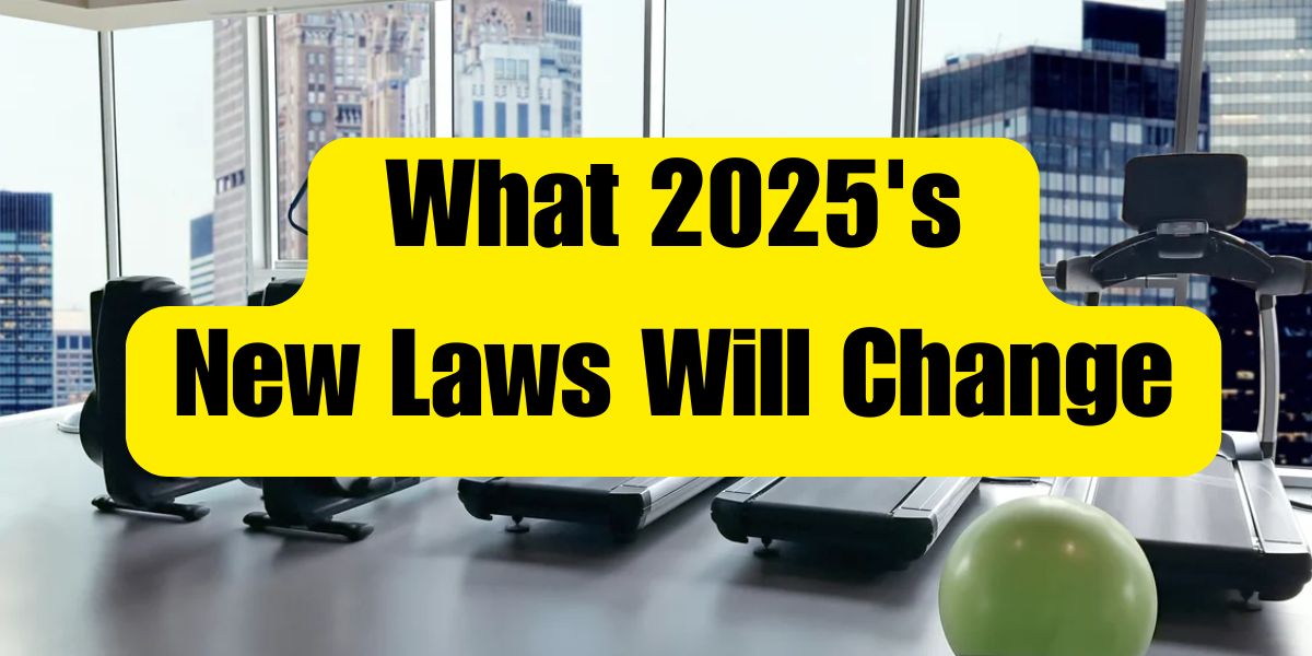 Eggs, Guns, and Gym Memberships What 2025's New Laws Will Change