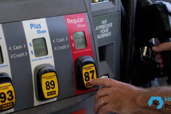 Gas Prices in 2025: Will They Go Up or Down? Here’s the Forecast