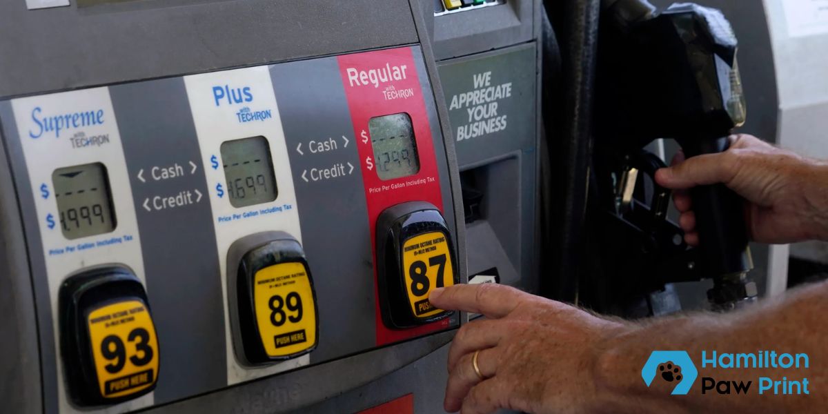 Gas Prices in 2025: Will They Go Up or Down? Here’s the Forecast