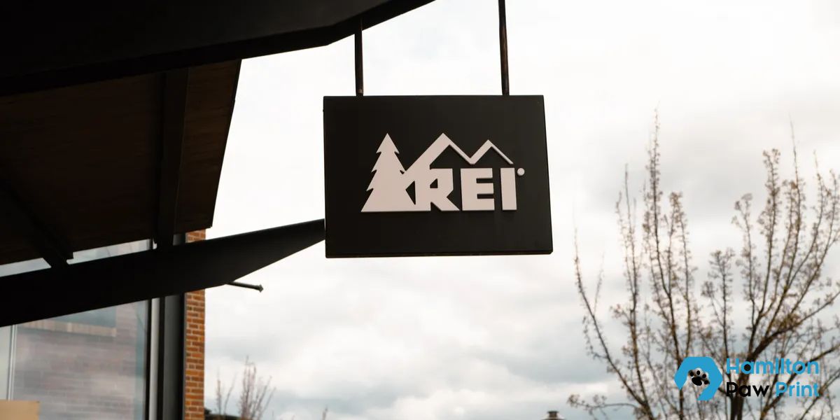 REI to Lay Off Hundreds of Employees Following Business Division Closure