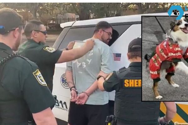 Shocking Abuse: Florida Man Charged for Violently Slamming Puppy to the Ground