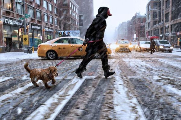 Snowstorm Sweeps Across Six States: Winter Storm Warning Issued with 20-Inch Forecast