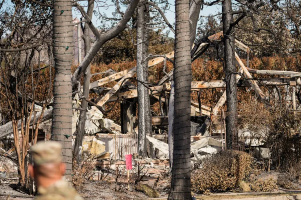 LA Real Estate Insider Reveals the No. 1 Reason Wildfire Victims Stay Away!