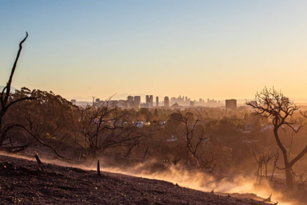 How Climate Change Is Driving Up Home Insurance Rates in California and Beyond?