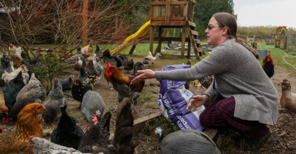 How Local Farmers Are Saving the Day Amid Surging Egg Prices & Bird Flu Outbreaks?