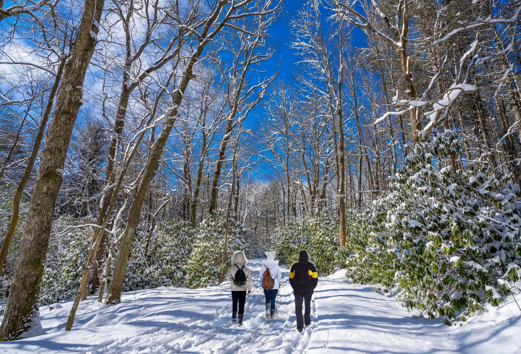 Eastern North Carolina Snowstorm: Power Outages, Snowfall, and Local Closures Explained