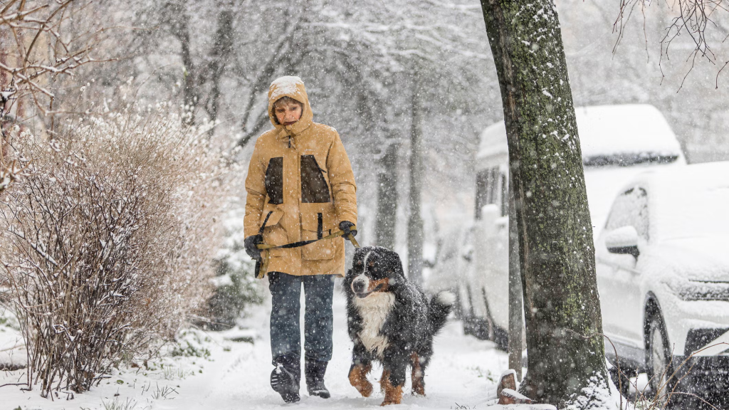 Massachusetts Winter 2025: What the Old Farmer’s Almanac Predicts for February and March