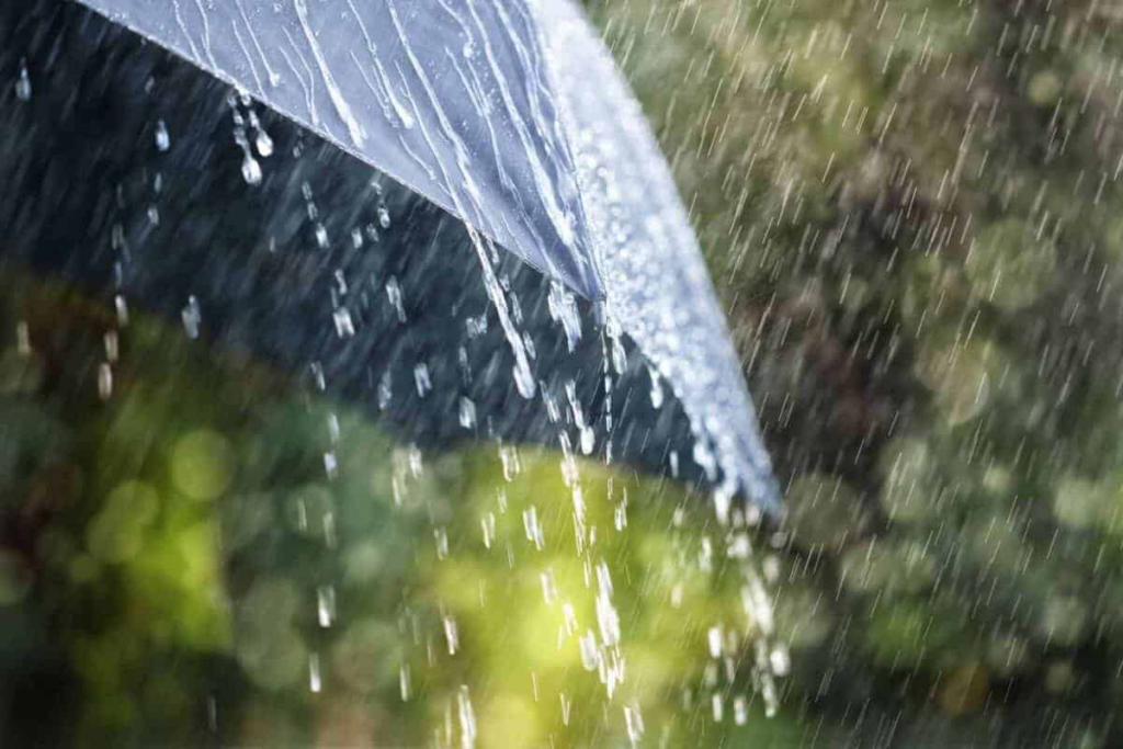 Weather Alert: Northern Indiana Faces Freezing Rain by Midweek