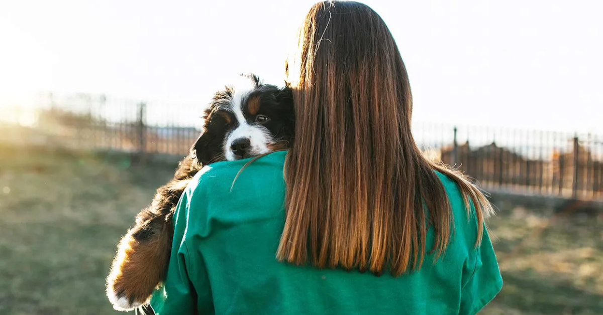 Loyal Dog Rescued from Forest Finds Love but Needs a Forever Home