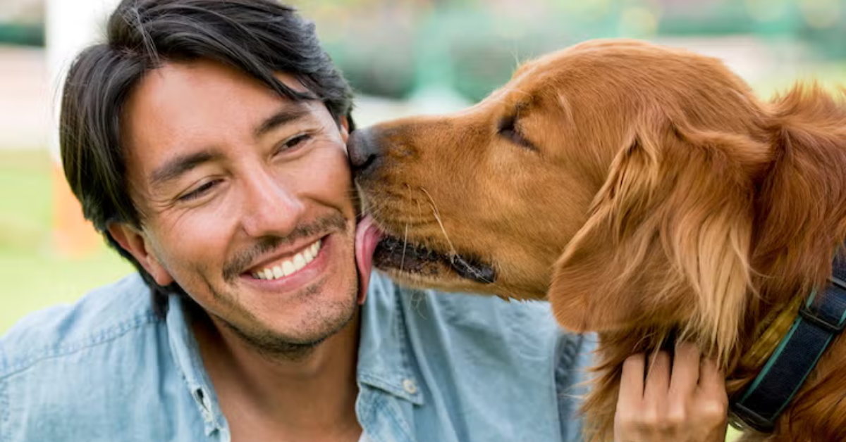 10 Reasons Why Dog Owners Are Happier and Healthier Every Day