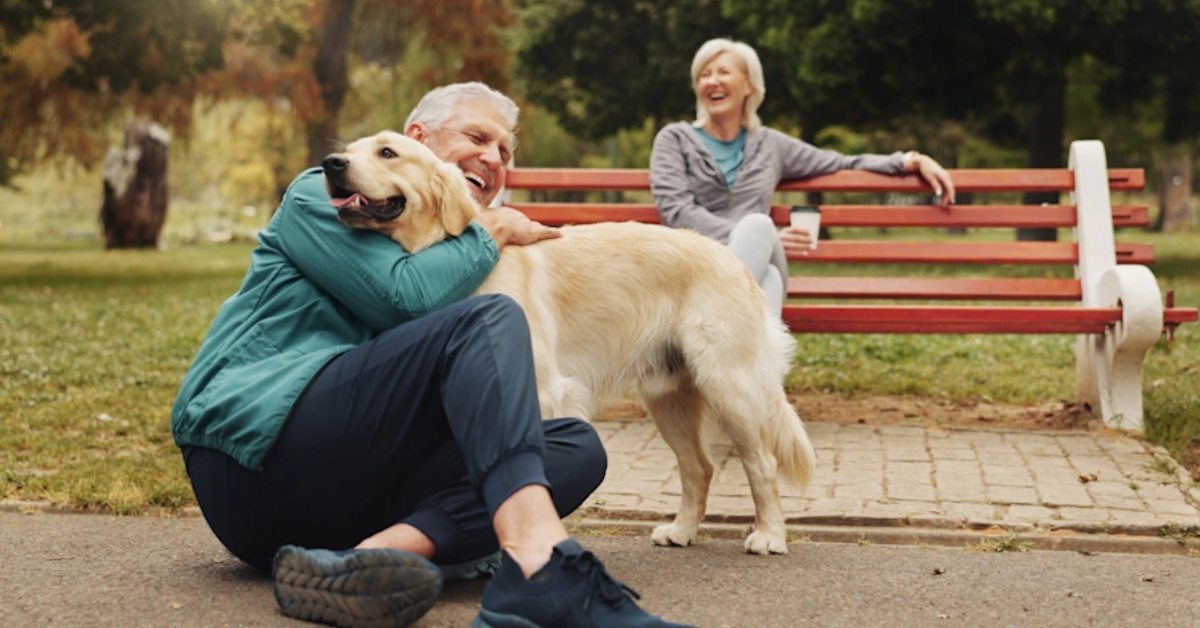 Dog With a Heart Full of Love Seeks a Forever Home After Being Surrendered
