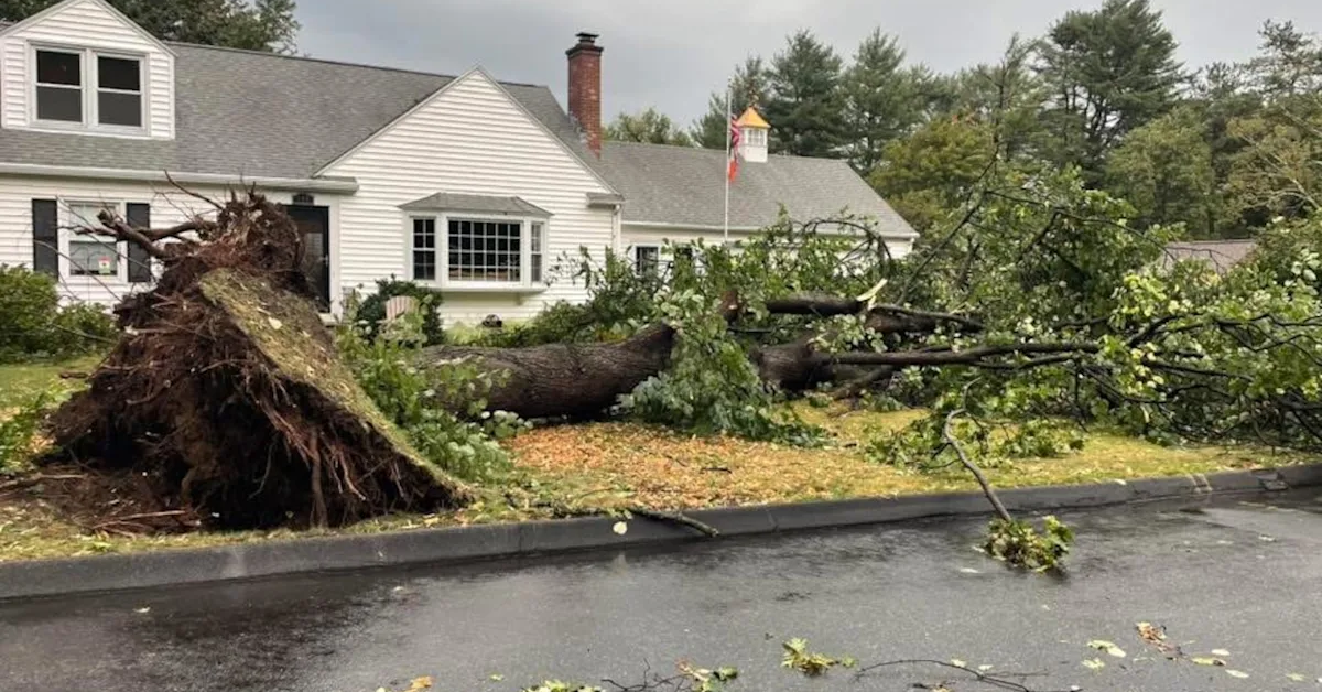 Massachusetts Faces EF1 Tornadoes from Weekend Storms, Holden and Paxton Among Worst Hit