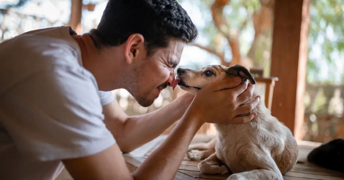 5 Things You Do That Bother Your Dog (And 5 That Build a Bond)