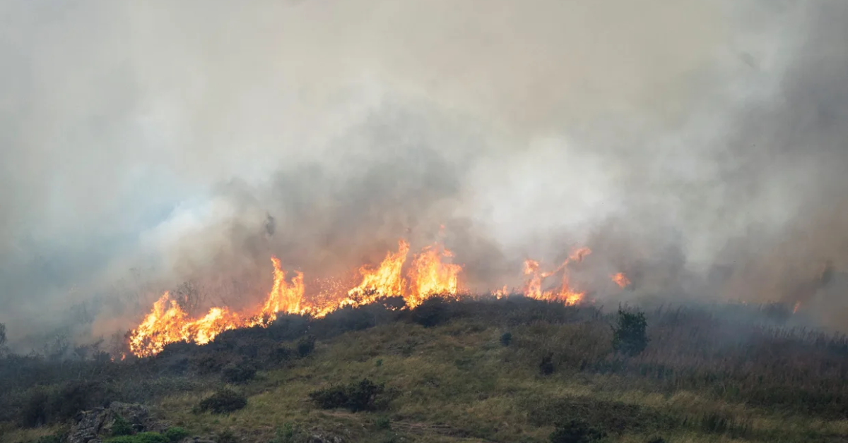 Dry, Windy Weather Sparks Fire Warnings Across New England