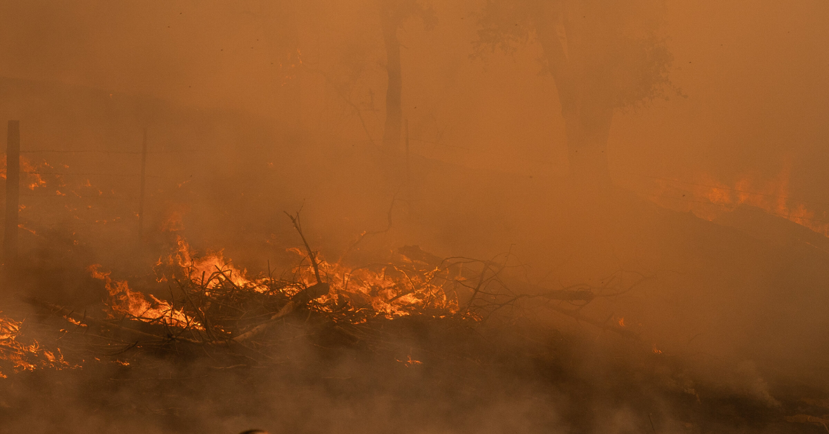 Deadly Wildfire Smoke Crisis in New York: Unseen Toxic Threat Causing Massive Deaths