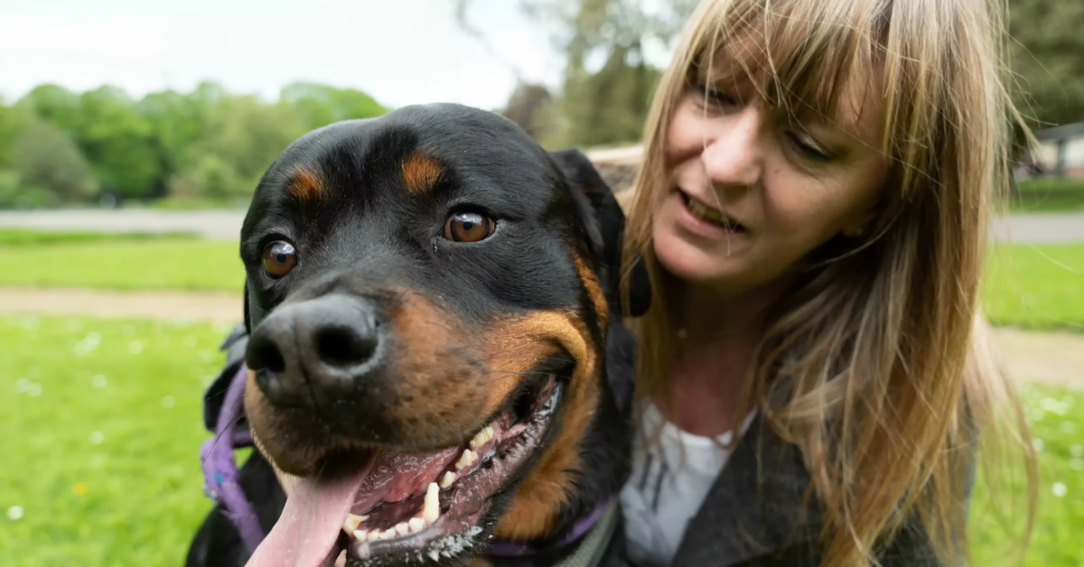 8 Important Factors To Keep In Mind When Keeping a Rottweiler