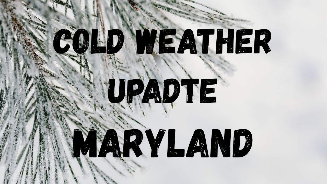 Accumulating Snow and Arctic Cold Set to Impact Maryland This Weekend